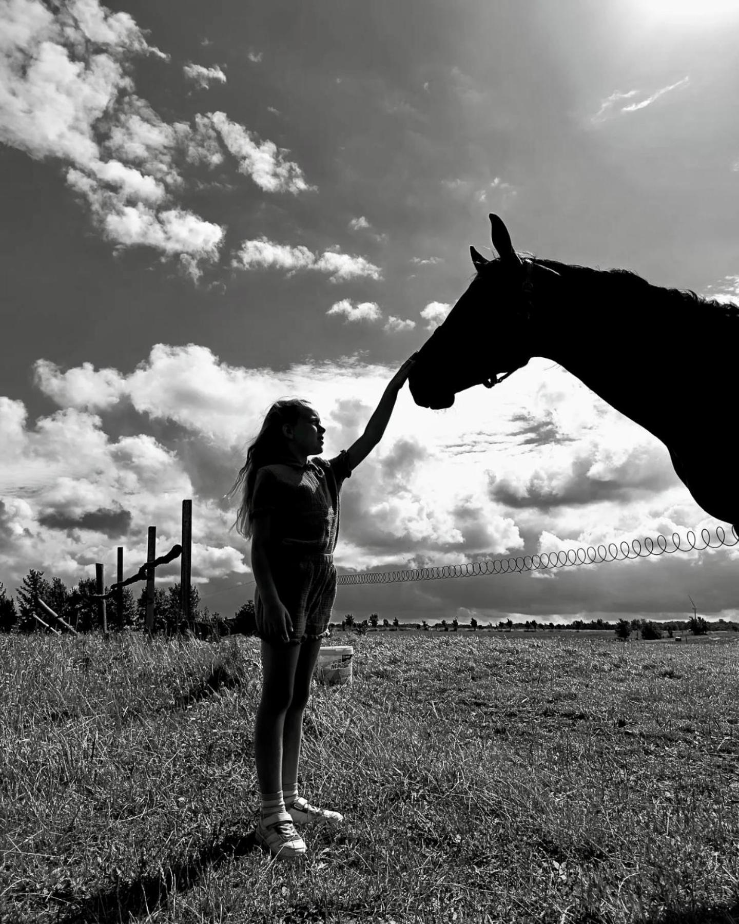 Projekt Stajnia - Nadmorski Osrodek Jazdy Konnej - Noclegi วาเซ ภายนอก รูปภาพ